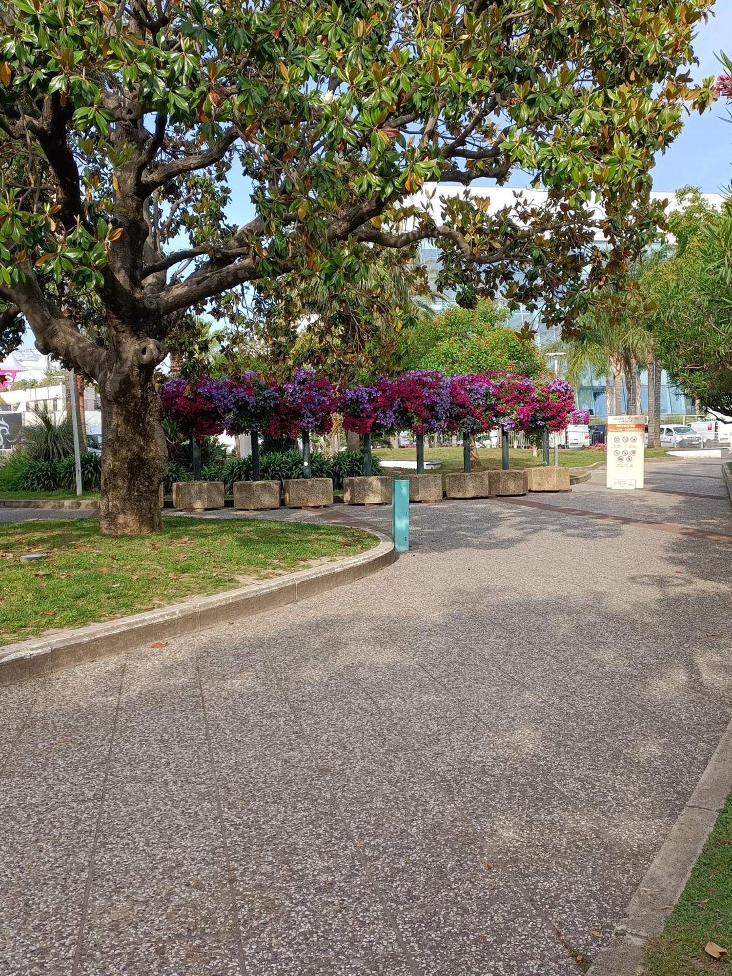 Gallieni Lägenhet Cannes Exteriör bild